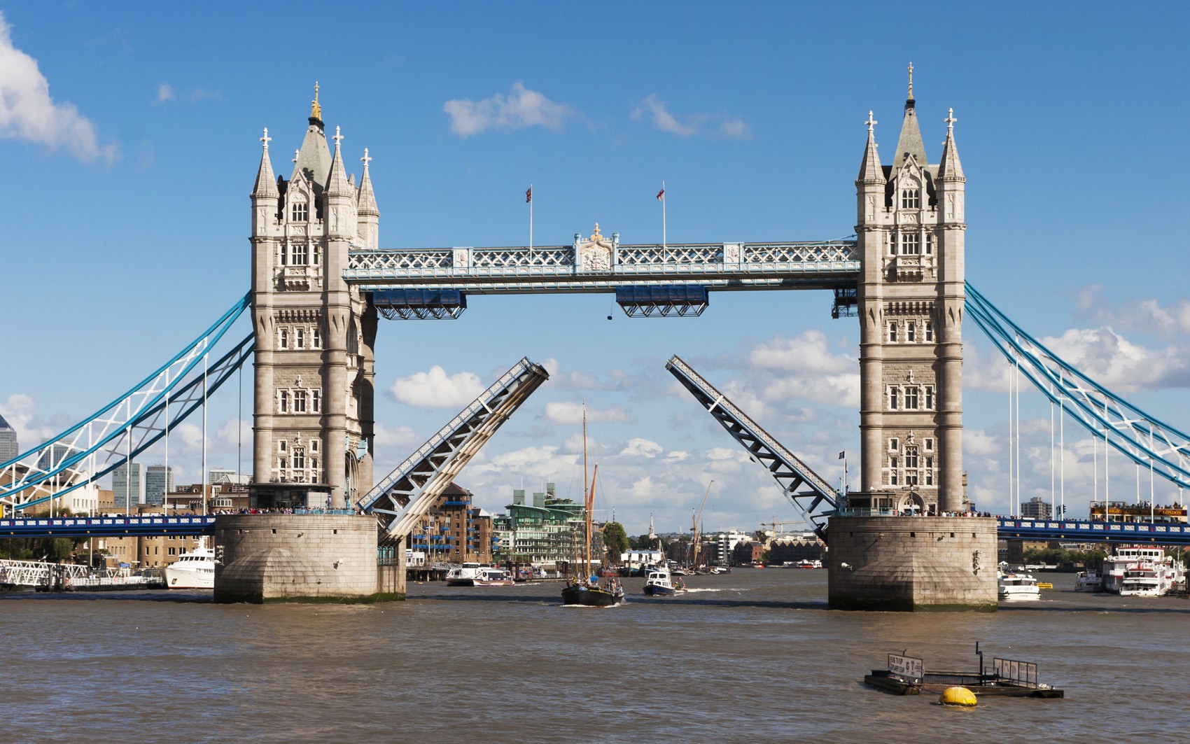 Mula ayudante blanco como la nieve Tower Bridge | London Sightseeing Tours | London Duck Tours