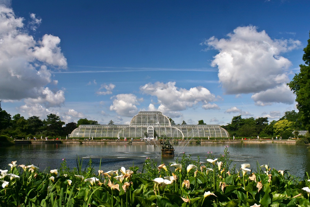 Kew gardens