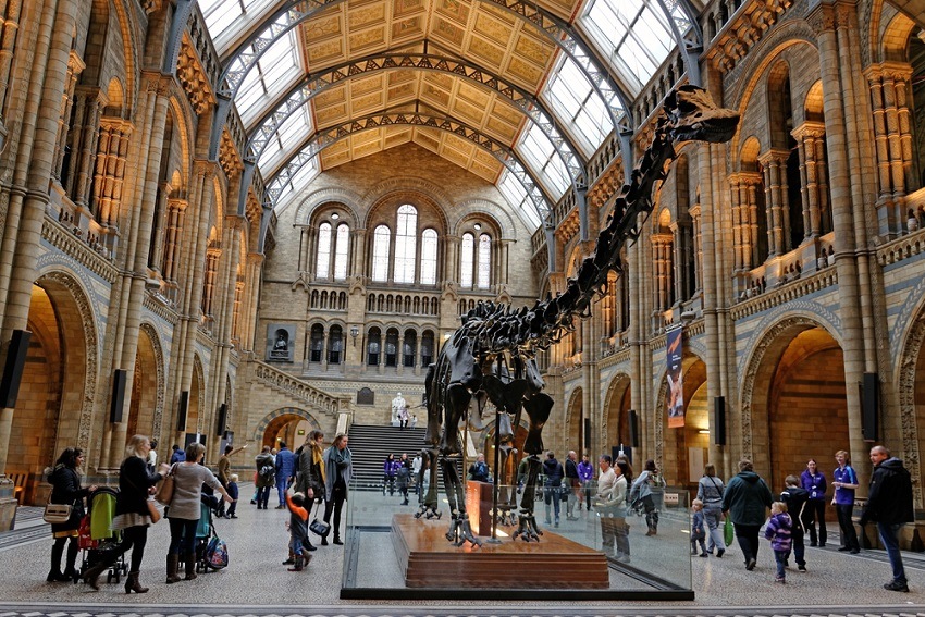 natural history museum london